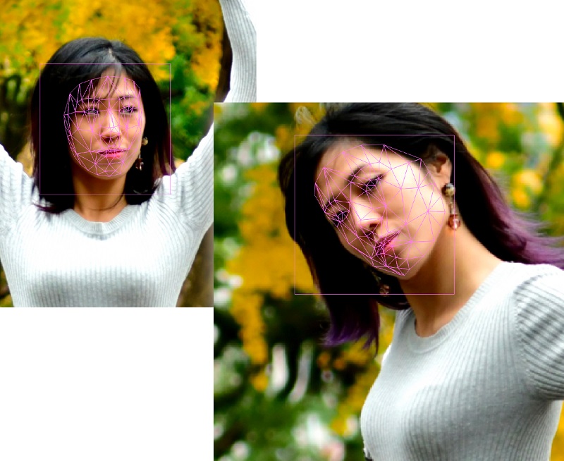 Face Trackでビューティーワークを効率化