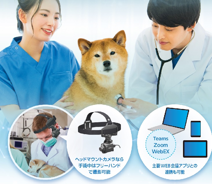 動物医療向け　小型術野カメラシステム