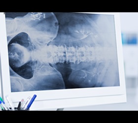 Medical agency Solution